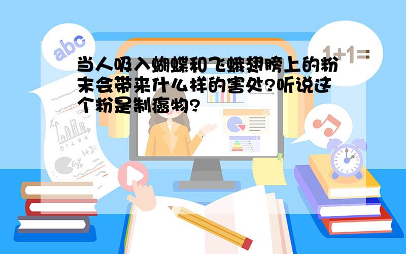 当人吸入蝴蝶和飞蛾翅膀上的粉末会带来什么样的害处?听说这个粉是制癌物?