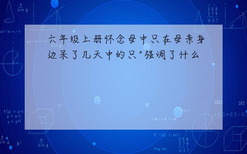 六年级上册怀念母中只在母亲身边呆了几天中的只