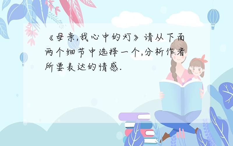 《母亲,我心中的灯》请从下面两个细节中选择一个,分析作者所要表达的情感.