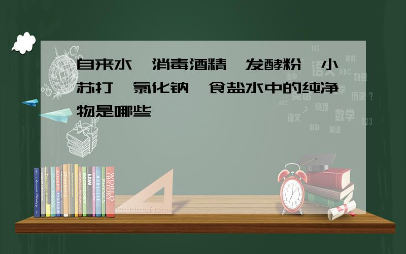 自来水、消毒酒精、发酵粉、小苏打、氯化钠、食盐水中的纯净物是哪些