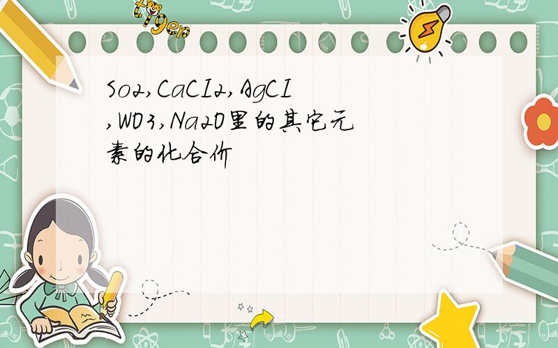 So2,CaCI2,AgCI,WO3,Na2O里的其它元素的化合价