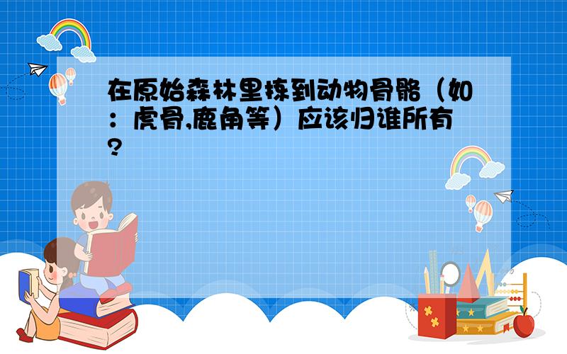 在原始森林里拣到动物骨骼（如：虎骨,鹿角等）应该归谁所有?