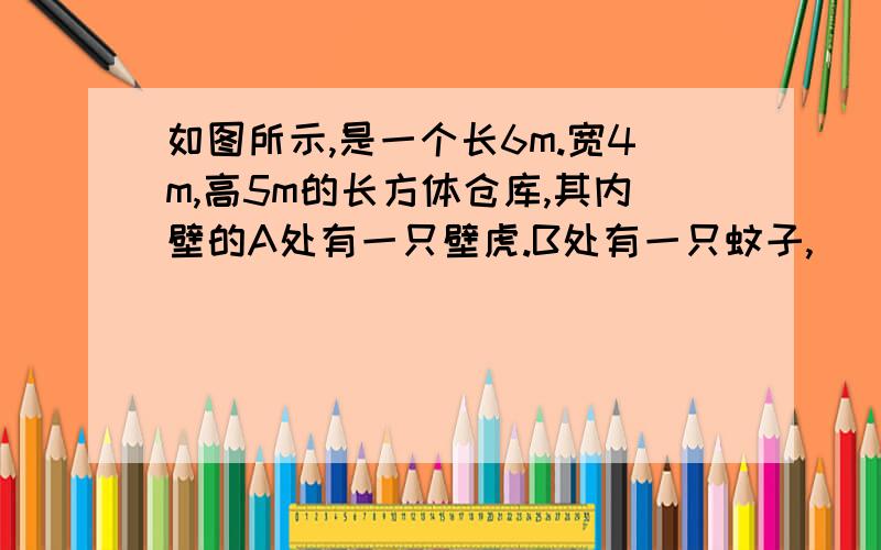 如图所示,是一个长6m.宽4m,高5m的长方体仓库,其内壁的A处有一只壁虎.B处有一只蚊子,