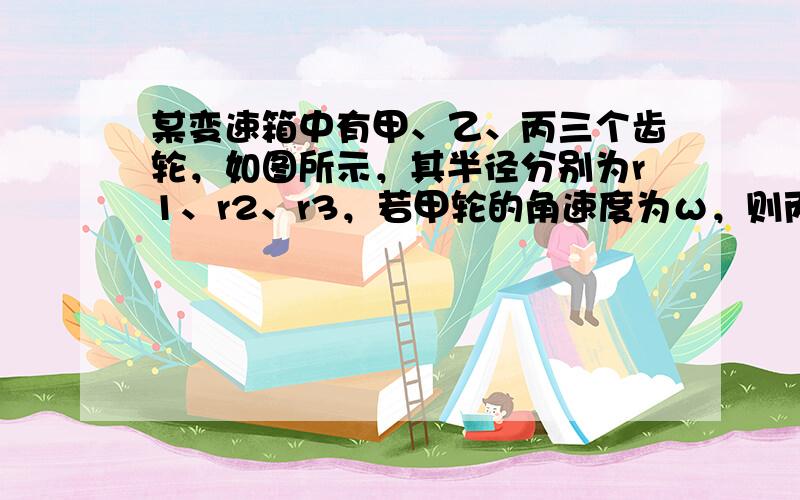 某变速箱中有甲、乙、丙三个齿轮，如图所示，其半径分别为r1、r2、r3，若甲轮的角速度为ω，则丙轮边缘上某点的向心加速度