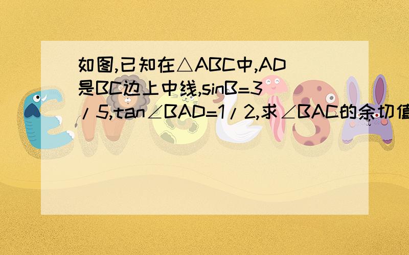 如图,已知在△ABC中,AD是BC边上中线,sinB=3/5,tan∠BAD=1/2,求∠BAC的余切值.