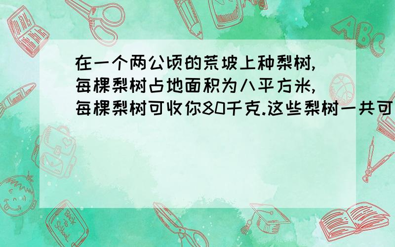 在一个两公顷的荒坡上种梨树,每棵梨树占地面积为八平方米,每棵梨树可收你80千克.这些梨树一共可以