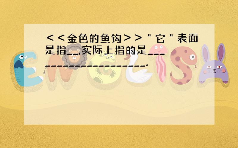 ＜＜金色的鱼钩＞＞＂它＂表面是指__,实际上指的是____________________.