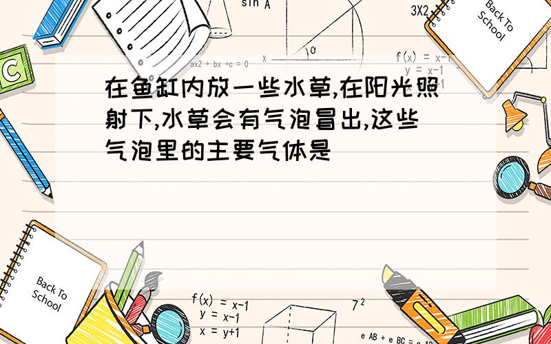 在鱼缸内放一些水草,在阳光照射下,水草会有气泡冒出,这些气泡里的主要气体是（ ）