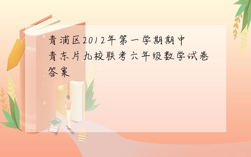 青浦区2012年第一学期期中青东片九校联考六年级数学试卷答案