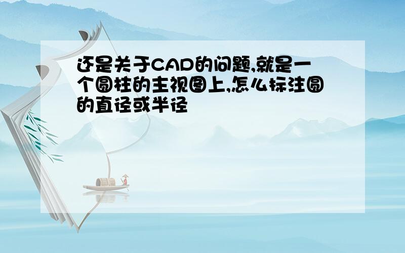 还是关于CAD的问题,就是一个圆柱的主视图上,怎么标注圆的直径或半径