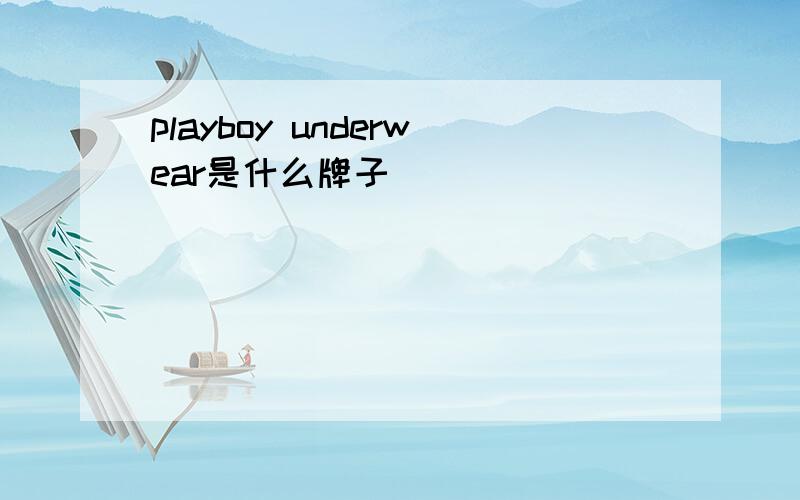 playboy underwear是什么牌子