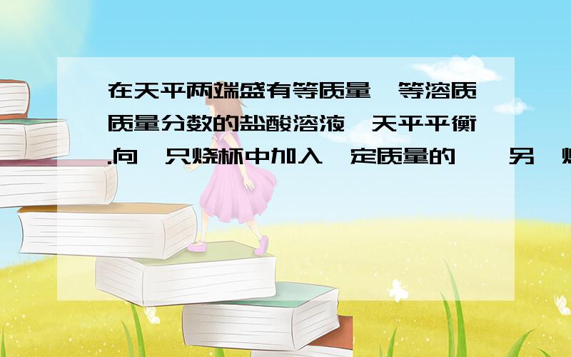 在天平两端盛有等质量,等溶质质量分数的盐酸溶液,天平平衡.向一只烧杯中加入一定质量的镁,另一烧杯中加入一定质量的铝,充分