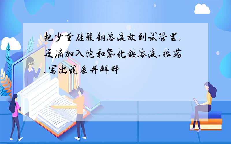 把少量硅酸钠溶液放到试管里,逐滴加入饱和氯化铵溶液,振荡.写出现象并解释