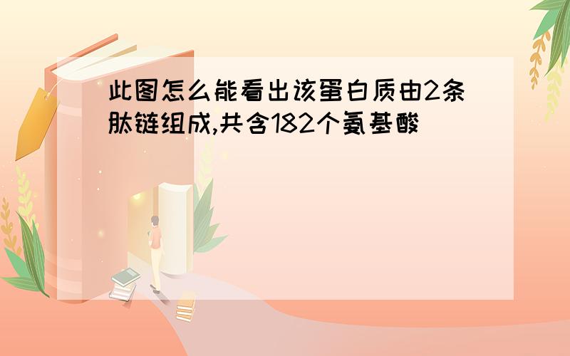 此图怎么能看出该蛋白质由2条肽链组成,共含182个氨基酸