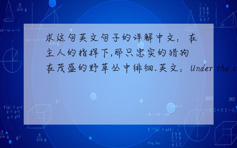 求这句英文句子的详解中文：在主人的指挥下,那只忠实的猎狗在茂盛的野草丛中徘徊.英文：Under the command