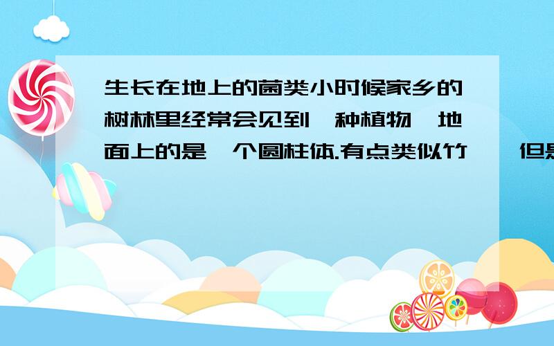 生长在地上的菌类小时候家乡的树林里经常会见到一种植物,地面上的是一个圆柱体.有点类似竹荪,但是没有那个小帽.就是一个单纯