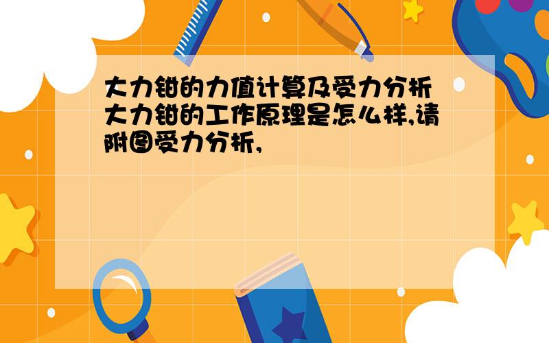 大力钳的力值计算及受力分析 大力钳的工作原理是怎么样,请附图受力分析,