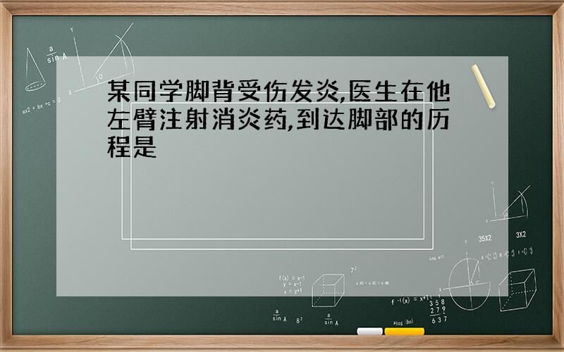 某同学脚背受伤发炎,医生在他左臂注射消炎药,到达脚部的历程是