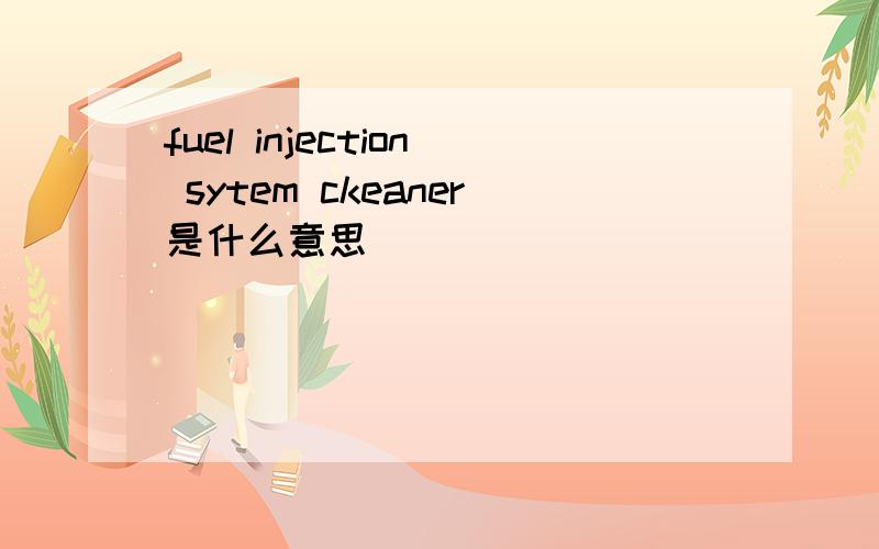 fuel injection sytem ckeaner是什么意思