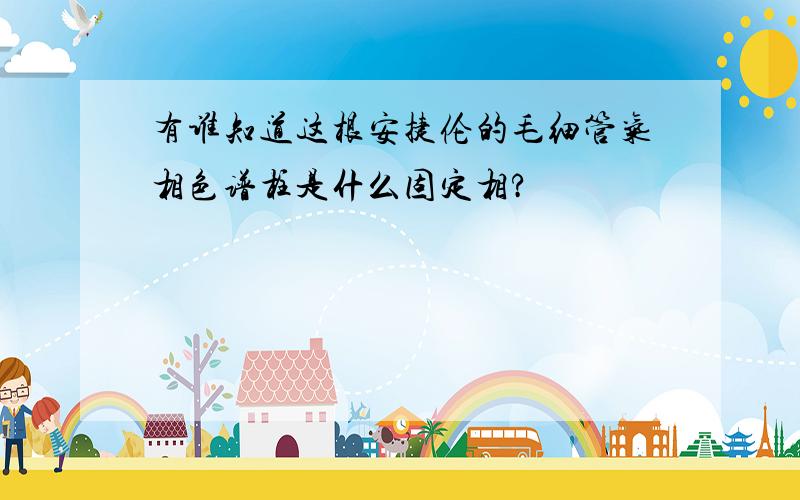 有谁知道这根安捷伦的毛细管气相色谱柱是什么固定相?