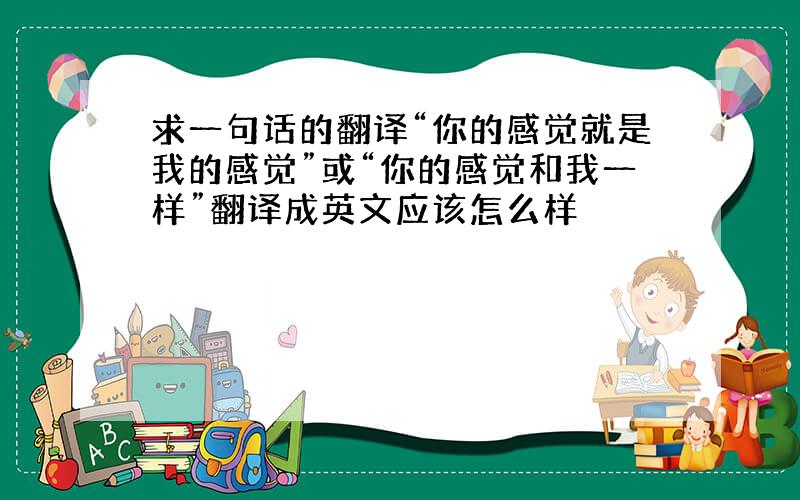 求一句话的翻译“你的感觉就是我的感觉”或“你的感觉和我一样”翻译成英文应该怎么样