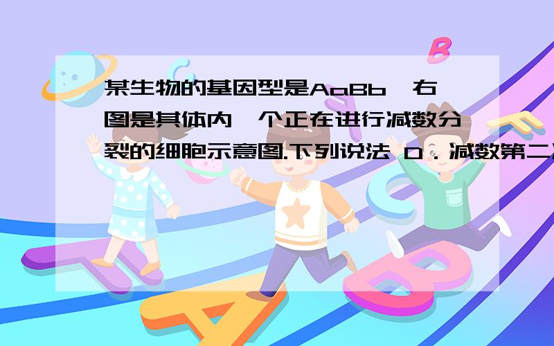 某生物的基因型是AaBb,右图是其体内一个正在进行减数分裂的细胞示意图.下列说法 D．减数第二次分