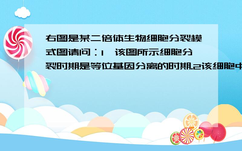 右图是某二倍体生物细胞分裂模式图请问：1,该图所示细胞分裂时期是等位基因分离的时期.2该细胞中有2个染色体组,1与2&n