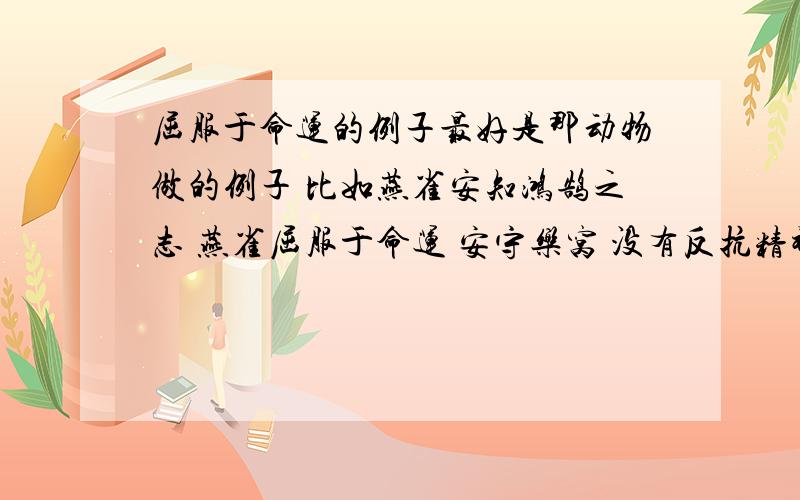 屈服于命运的例子最好是那动物做的例子 比如燕雀安知鸿鹄之志 燕雀屈服于命运 安守乐窝 没有反抗精神