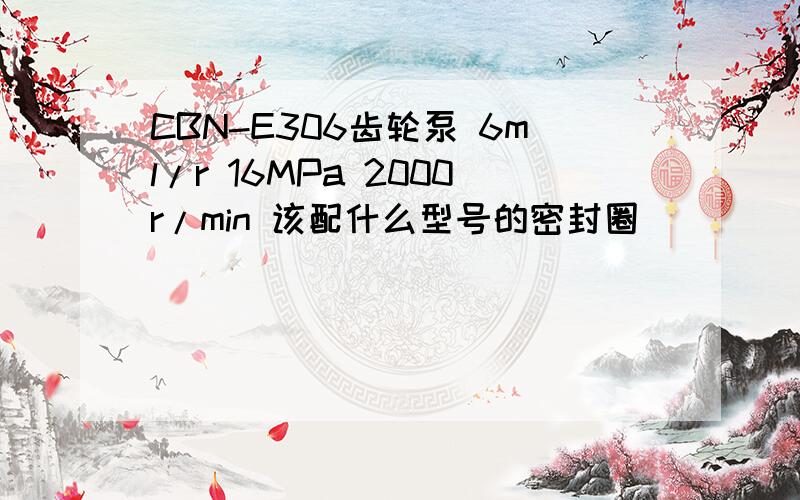 CBN-E306齿轮泵 6ml/r 16MPa 2000r/min 该配什么型号的密封圈