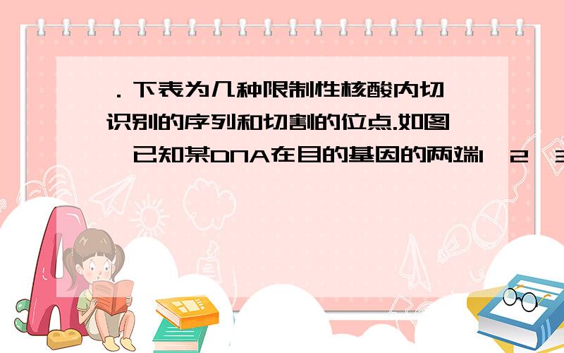 ．下表为几种限制性核酸内切酶识别的序列和切割的位点.如图,已知某DNA在目的基因的两端1、2、3、4四处有BamHⅠ或E