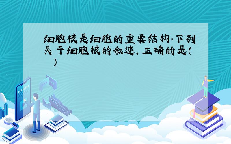 细胞核是细胞的重要结构.下列关于细胞核的叙述，正确的是（　　）