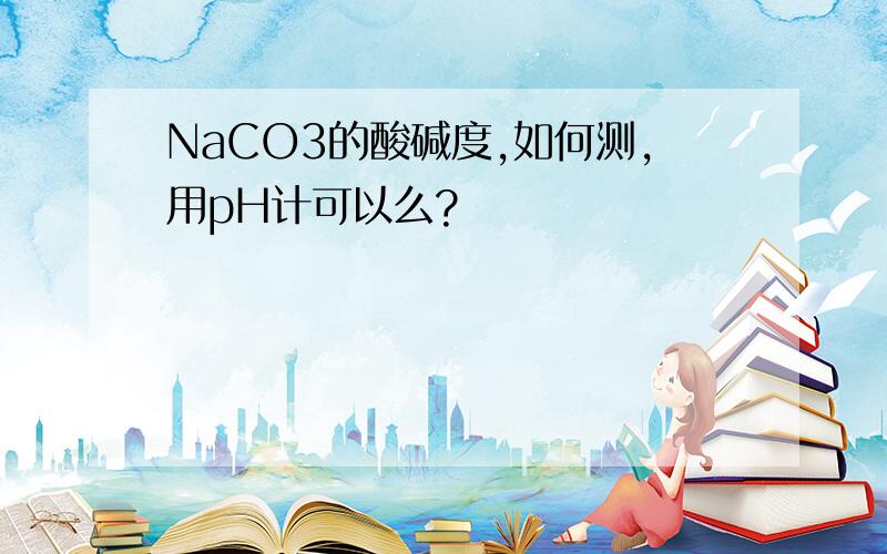 NaCO3的酸碱度,如何测,用pH计可以么?