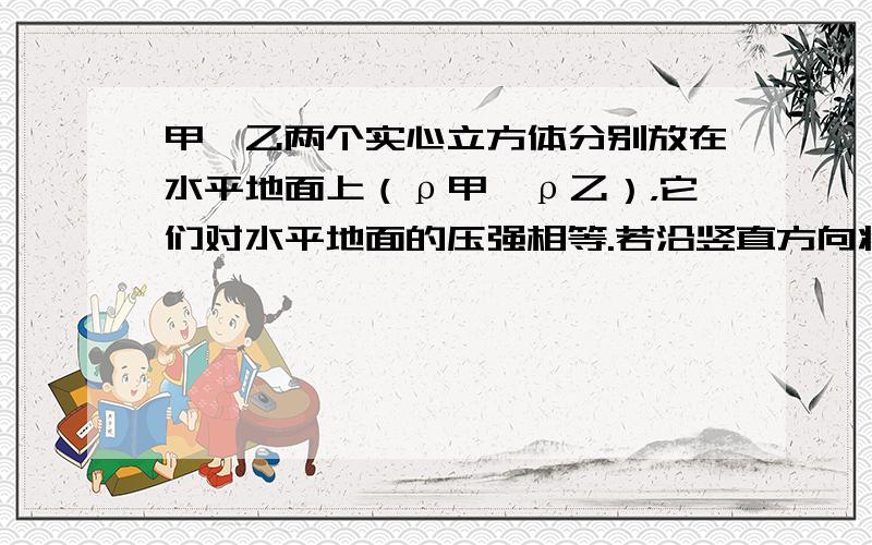 甲、乙两个实心立方体分别放在水平地面上（ρ甲＜ρ乙），它们对水平地面的压强相等.若沿竖直方向将甲、乙两个立方体各切除一部