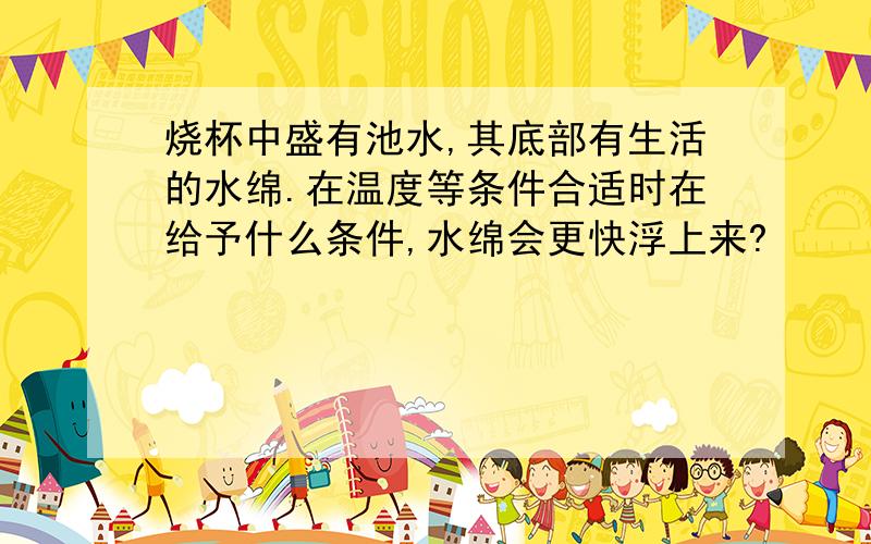 烧杯中盛有池水,其底部有生活的水绵.在温度等条件合适时在给予什么条件,水绵会更快浮上来?