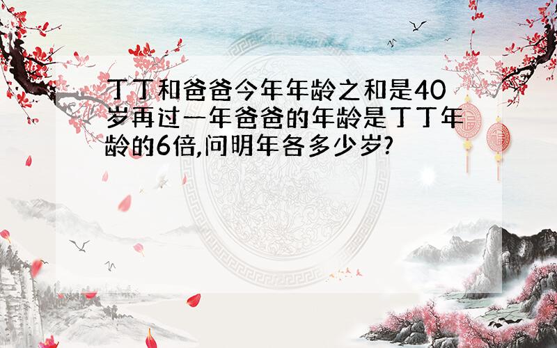 丁丁和爸爸今年年龄之和是40岁再过一年爸爸的年龄是丁丁年龄的6倍,问明年各多少岁?