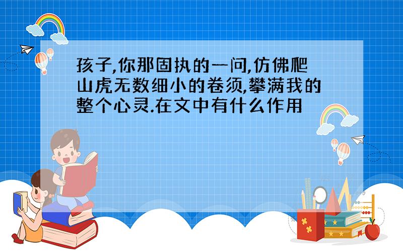 孩子,你那固执的一问,仿佛爬山虎无数细小的卷须,攀满我的整个心灵.在文中有什么作用