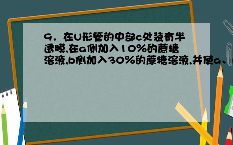 9．在U形管的中部c处装有半透膜,在a侧加入10％的蔗糖溶液,b侧加入30％的蔗糖溶液,并使a、b两侧液面高度一致.经过