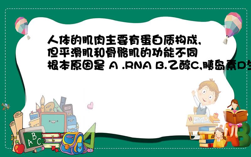 人体的肌肉主要有蛋白质构成,但平滑肌和骨骼肌的功能不同 根本原因是 A .RNA B.乙醇C,胰岛素D生长激素