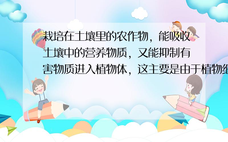 栽培在土壤里的农作物，能吸收土壤中的营养物质，又能抑制有害物质进入植物体，这主要是由于植物细胞的（　　）