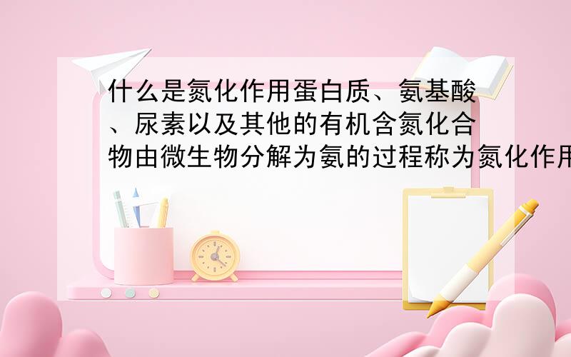 什么是氮化作用蛋白质、氨基酸、尿素以及其他的有机含氮化合物由微生物分解为氨的过程称为氮化作用）。绝大多数有机营养微生物都