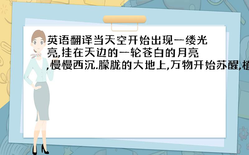 英语翻译当天空开始出现一缕光亮,挂在天边的一轮苍白的月亮,慢慢西沉.朦胧的大地上,万物开始苏醒,植物的叶脉也清晰可见.不