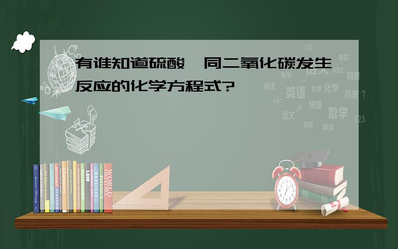 有谁知道硫酸钡同二氧化碳发生反应的化学方程式?