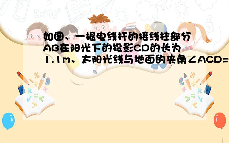 如图、一根电线杆的接线柱部分AB在阳光下的投影CD的长为1.1m、太阳光线与地面的夹角∠ACD=50°、则AB的长约为[