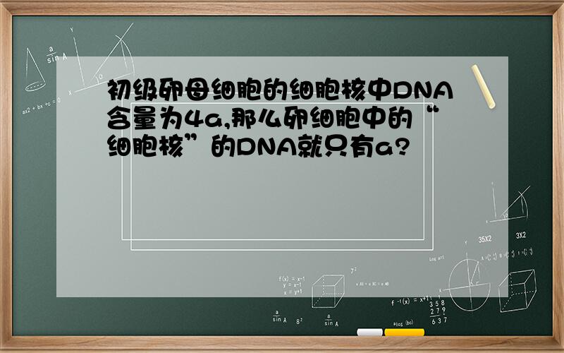 初级卵母细胞的细胞核中DNA含量为4a,那么卵细胞中的“细胞核”的DNA就只有a?