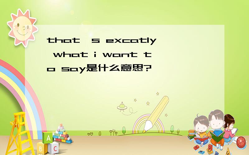 that's excatly what i want to say是什么意思?