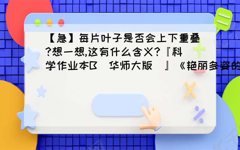 【急】每片叶子是否会上下重叠?想一想,这有什么含义?『科学作业本B（华师大版）』《艳丽多姿的生物（一）》