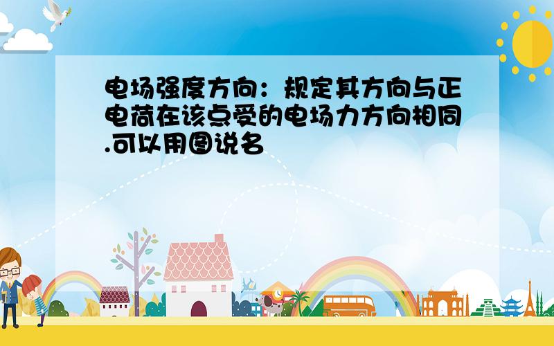 电场强度方向：规定其方向与正电荷在该点受的电场力方向相同.可以用图说名