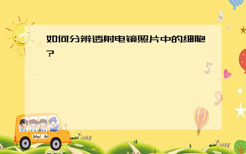 如何分辨透射电镜照片中的细胞?