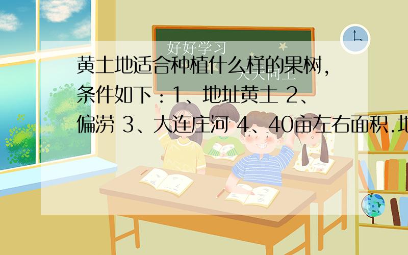 黄土地适合种植什么样的果树,条件如下：1、地址黄土 2、偏涝 3、大连庄河 4、40亩左右面积.地势、山丘.