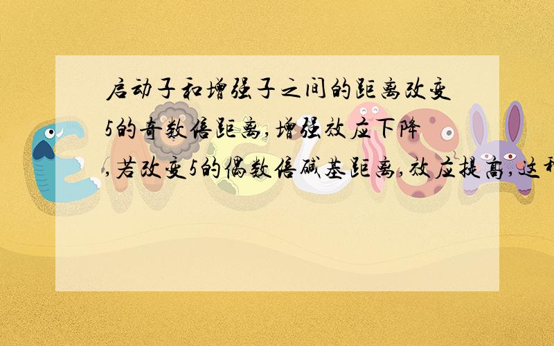 启动子和增强子之间的距离改变5的奇数倍距离,增强效应下降,若改变5的偶数倍碱基距离,效应提高,这种效应该如何解释啊?